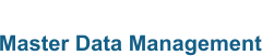 Master Data Management