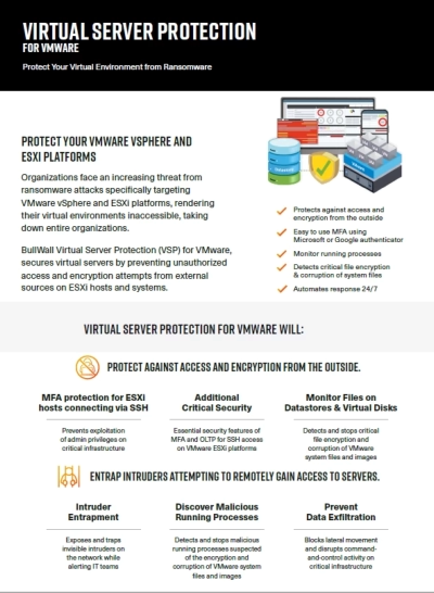 flyer that explain the virtual server protection